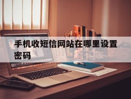 手机收短信网站在哪里设置密码