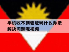手机收不到验证码什么办法解决问题呢视频