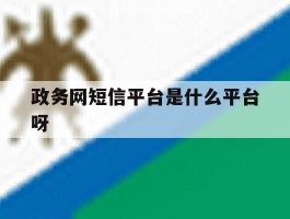 政务网短信平台是什么平台呀