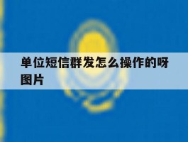 单位短信群发怎么操作的呀图片