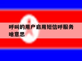 呼叫的用户启用短信呼服务啥意思