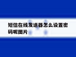 短信在线发送器怎么设置密码呢图片