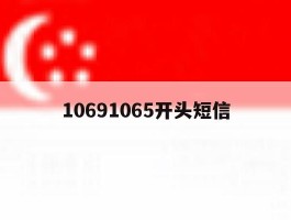 10691065开头短信