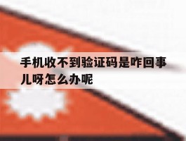 手机收不到验证码是咋回事儿呀怎么办呢