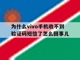 为什么vivo手机收不到验证码短信了怎么回事儿