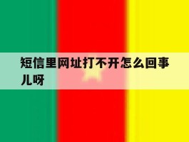 短信里网址打不开怎么回事儿呀