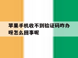 苹果手机收不到验证码咋办呀怎么回事呢
