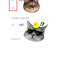 国际短信接收功能在哪找到的