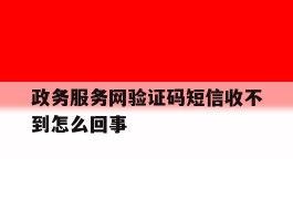 政务服务网验证码短信收不到怎么回事