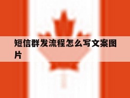短信群发流程怎么写文案图片