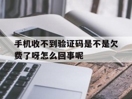 手机收不到验证码是不是欠费了呀怎么回事呢
