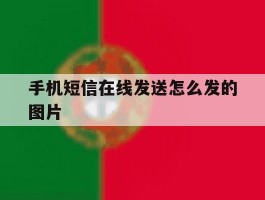 手机短信在线发送怎么发的图片