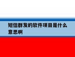短信群发的软件项目是什么意思啊