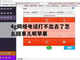 4g网络电话打不出去了怎么回事儿呢苹果