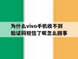为什么vivo手机收不到验证码短信了呢怎么回事