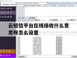 云短信平台在线接收什么意思呀怎么设置