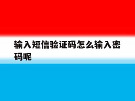 输入短信验证码怎么输入密码呢