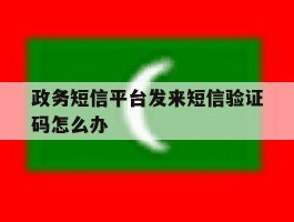 政务短信平台发来短信验证码怎么办