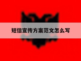 短信宣传方案范文怎么写