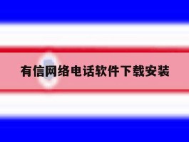 有信网络电话软件下载安装