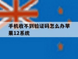 手机收不到验证码怎么办苹果12系统
