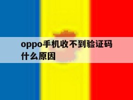 oppo手机收不到验证码什么原因