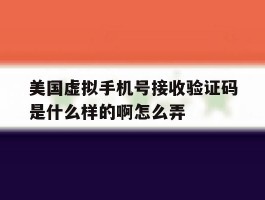 美国虚拟手机号接收验证码是什么样的啊怎么弄