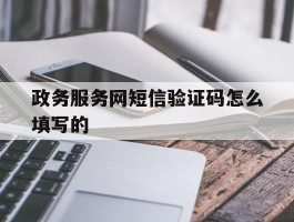 政务服务网短信验证码怎么填写的