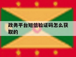 政务平台短信验证码怎么获取的
