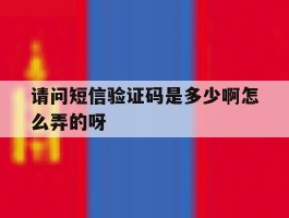 请问短信验证码是多少啊怎么弄的呀