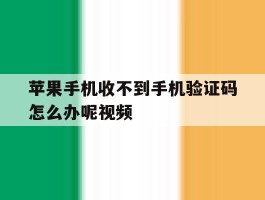 苹果手机收不到手机验证码怎么办呢视频