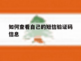 如何查看自己的短信验证码信息