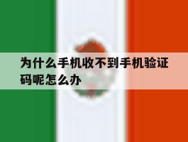 为什么手机收不到手机验证码呢怎么办