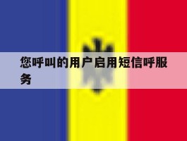 您呼叫的用户启用短信呼服务
