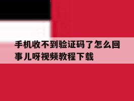 手机收不到验证码了怎么回事儿呀视频教程下载