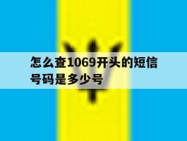 怎么查1069开头的短信号码是多少号