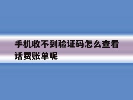 手机收不到验证码怎么查看话费账单呢