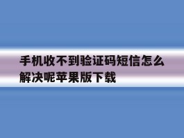 手机收不到验证码短信怎么解决呢苹果版下载