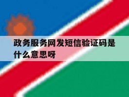政务服务网发短信验证码是什么意思呀