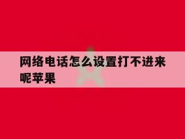 网络电话怎么设置打不进来呢苹果