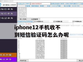 iphone12手机收不到短信验证码怎么办呢