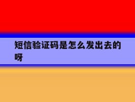 短信验证码是怎么发出去的呀