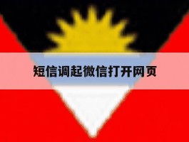 短信调起微信打开网页