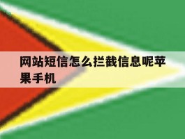 网站短信怎么拦截信息呢苹果手机