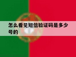 怎么看见短信验证码是多少号的