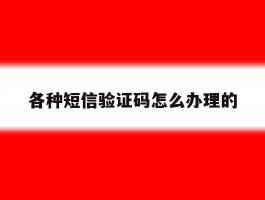 各种短信验证码怎么办理的