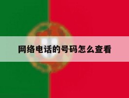 网络电话的号码怎么查看