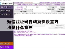 短信验证码自动复制设置方法是什么意思