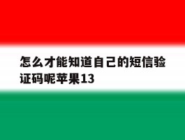 怎么才能知道自己的短信验证码呢苹果13