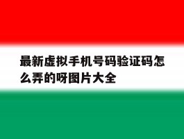 最新虚拟手机号码验证码怎么弄的呀图片大全